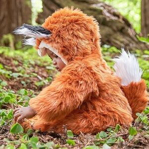 Pottery Barn Fox Costume